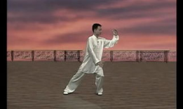 初学太极拳入门基本功视频教程